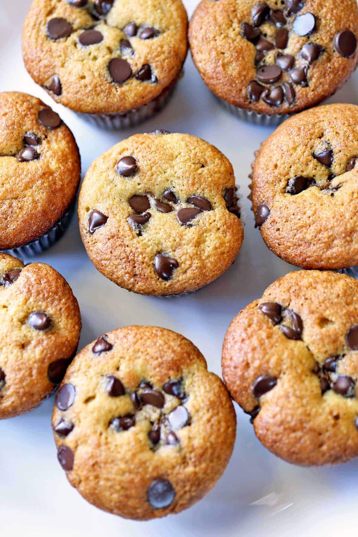 Almond flour chocolate chip muffins are served on a white plate. 