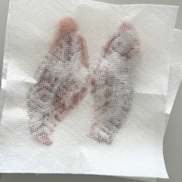 Blotting the fish.