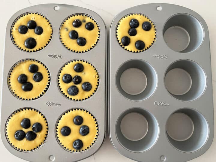 Add blueberries on top of the muffins.