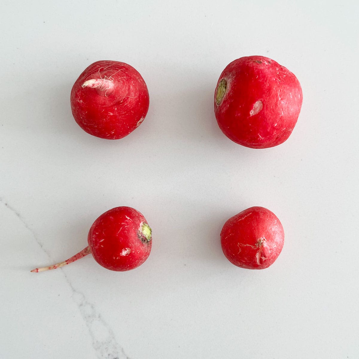 Different sizes of radishes.