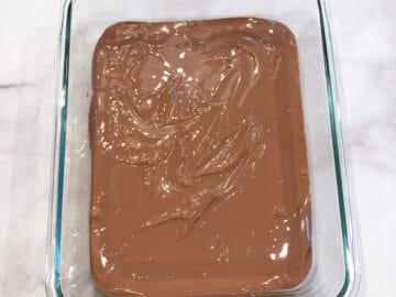 The yogurt mixture was transferred to the pan for freezing.