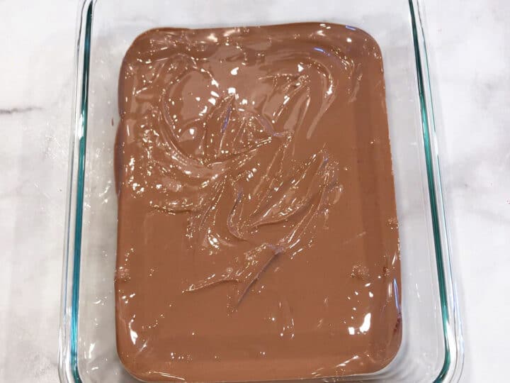 The yogurt mixture was transferred to the pan for freezing.