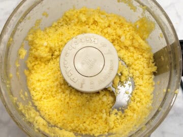 The mango was processed in the food processor.