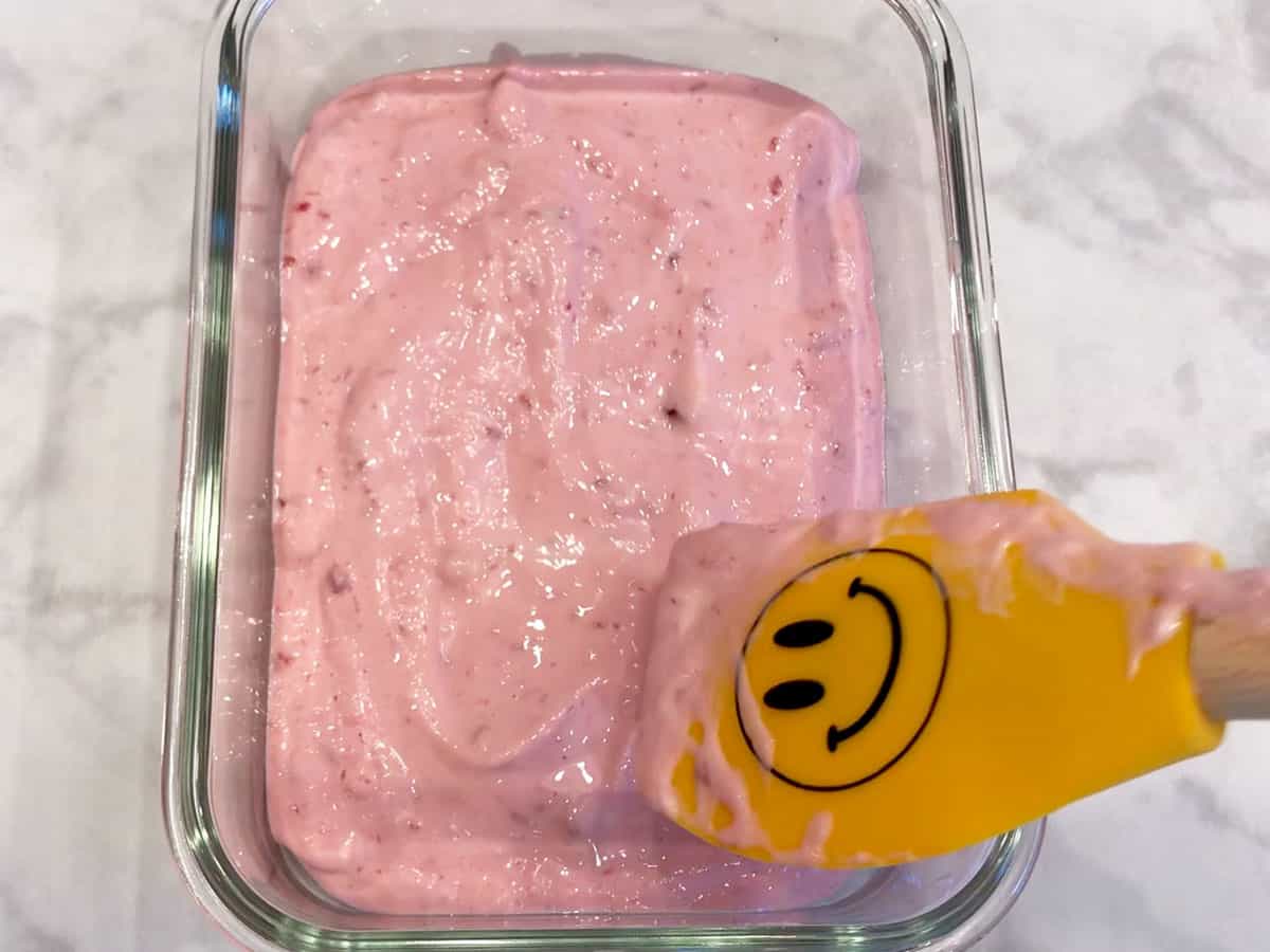 The yogurt was transferred to a container for freezing.