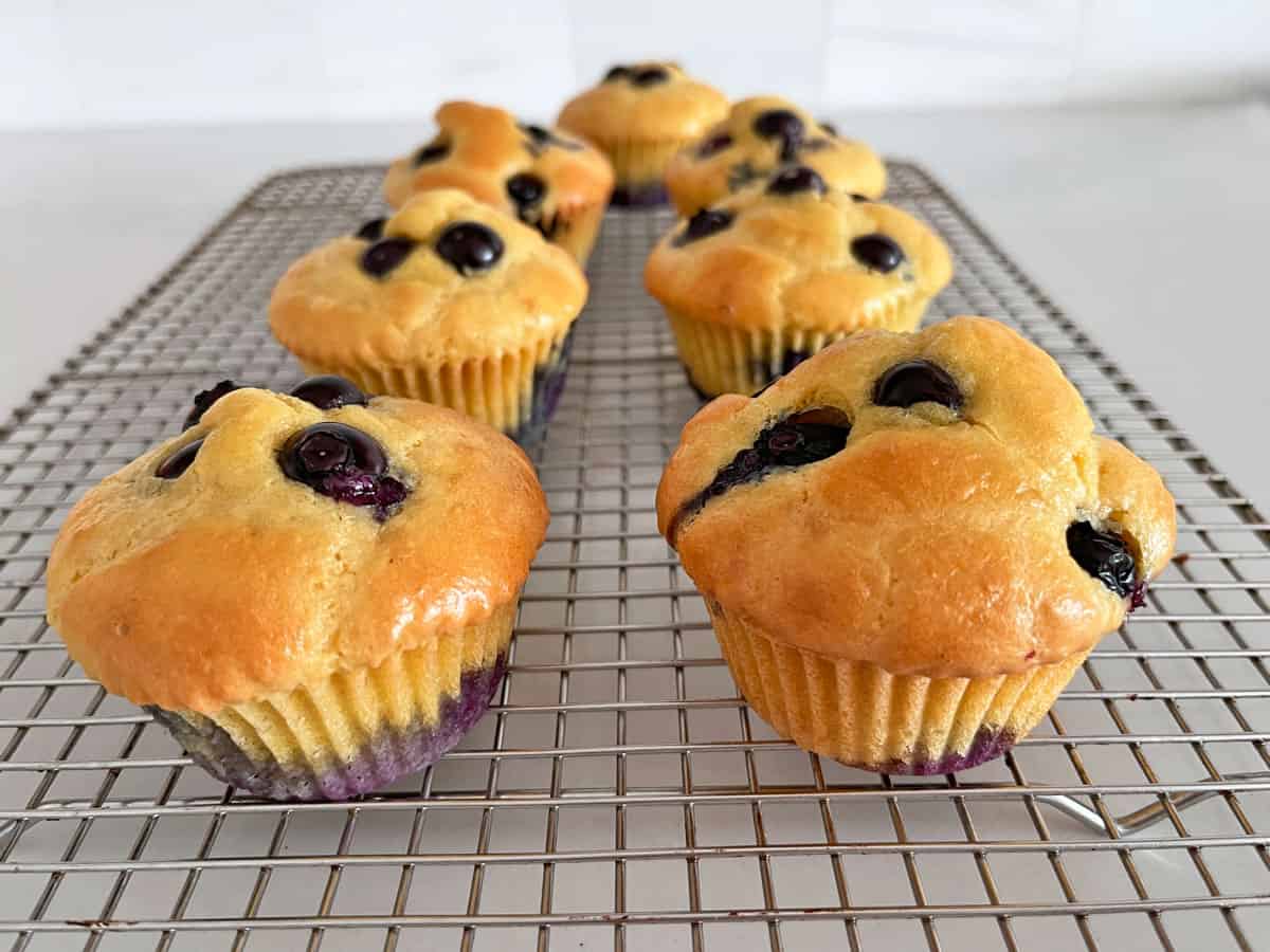Blueberry muffins are cooling on a rack.
